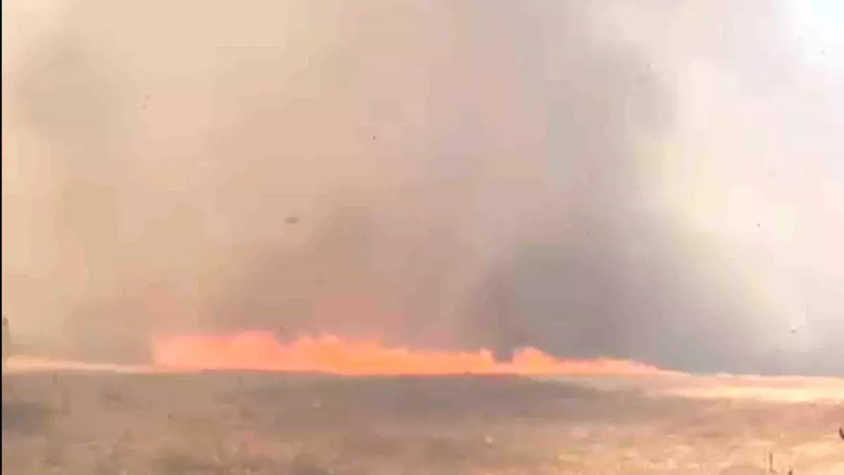 Tekirdağ'da Buğday Tarlasında Çıkan Yangın Ormana Sıçradı