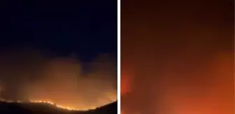 Türkiye'nin yangın kabusu sürüyor! Çok sayıda kentten alevler yükseldi