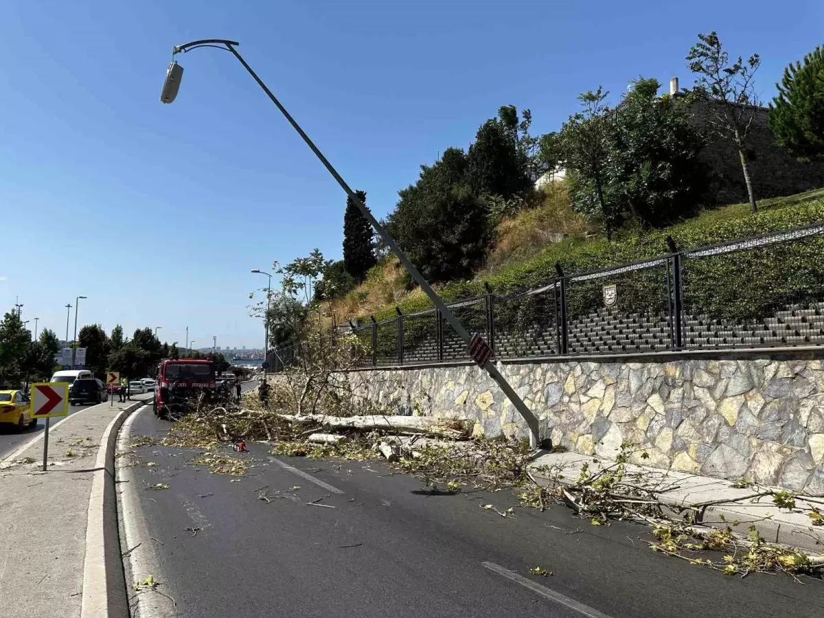 Üsküdar'da Güçlü Rüzgar Ağaç Devrildi, Trafiği Felç Etti