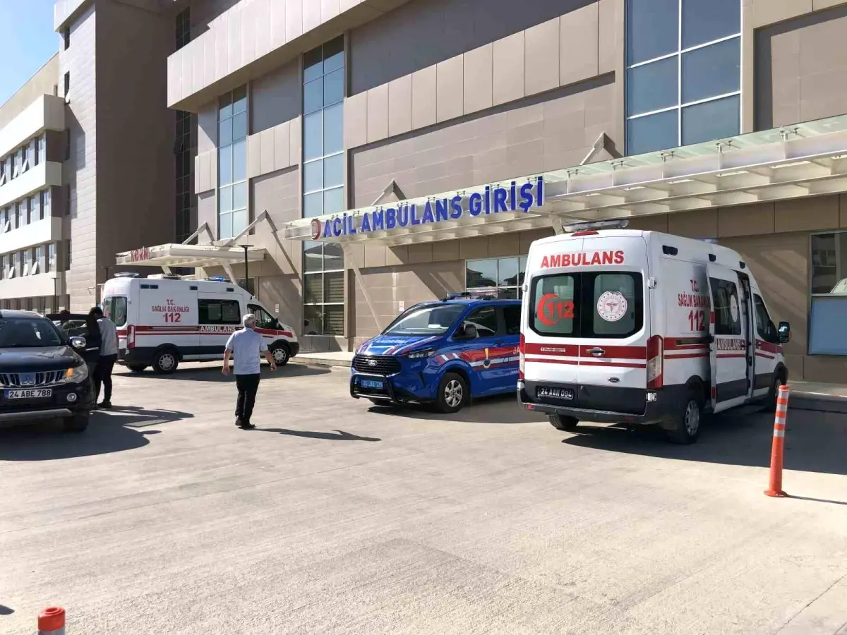 Erzincan'da Taş Duvar Yapımında 2 İşçi Yaralandı