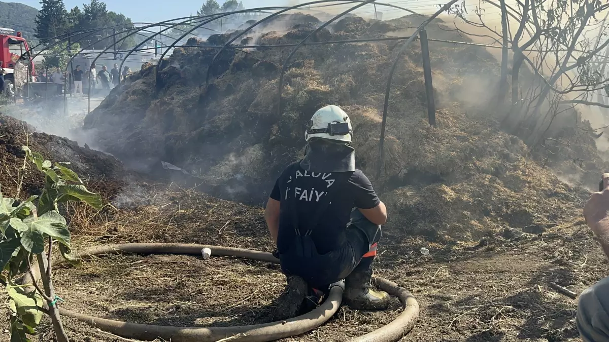 Yalova'da 3 Ayrı Noktada Yangın Çıktı