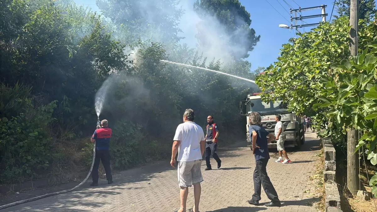 Zonguldak'ta Ağaçlık Alanda Yangın Kontrol Altına Alındı
