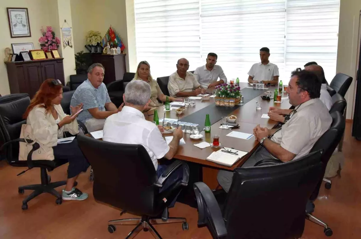Aydın'da Kuru İncir Rekoltesi Değerlendirildi