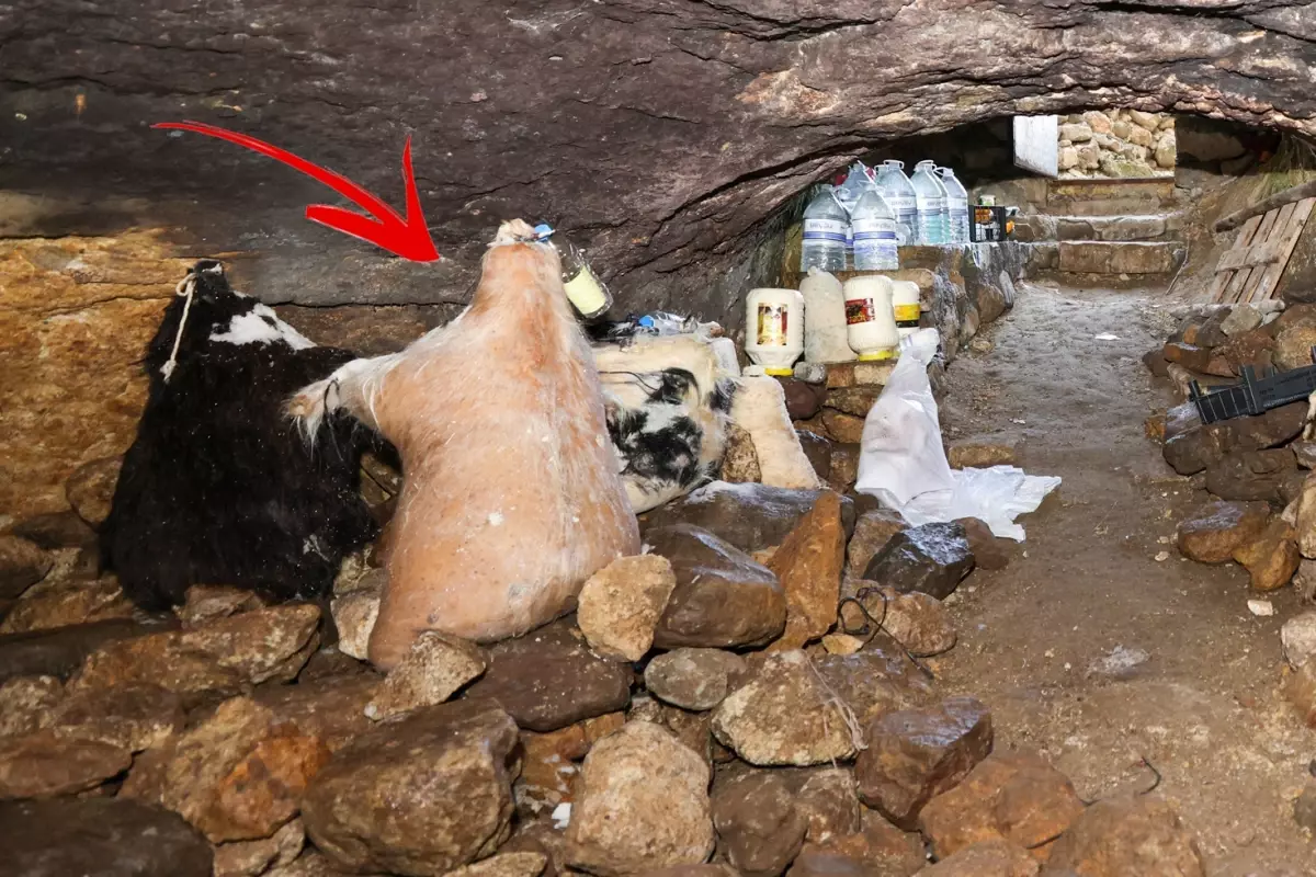 Bu peynir ne çürüyor ne kuruyor! 5 ay sonra mağaralardan şenlikle çıkarılacak