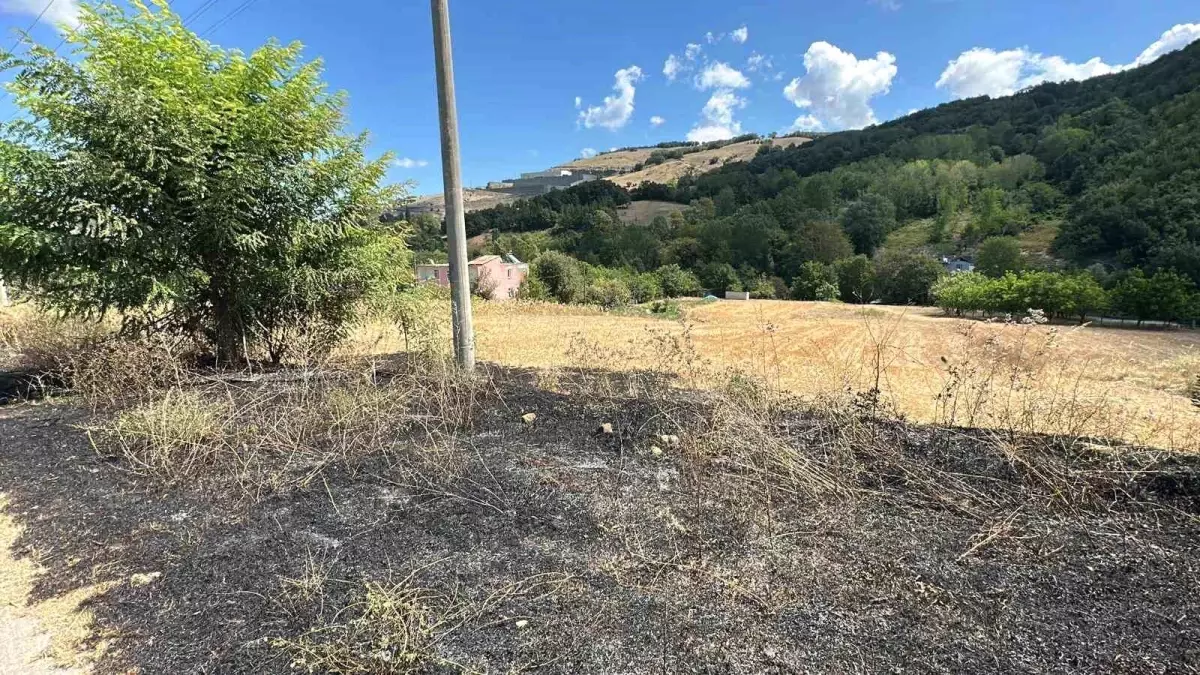 Samsun'un Atakum İlçesinde Yangın Kontrol Altına Alındı