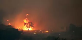 Çanakkale'de çıkan orman yangını büyüdü! 5 köy tahliye edildi