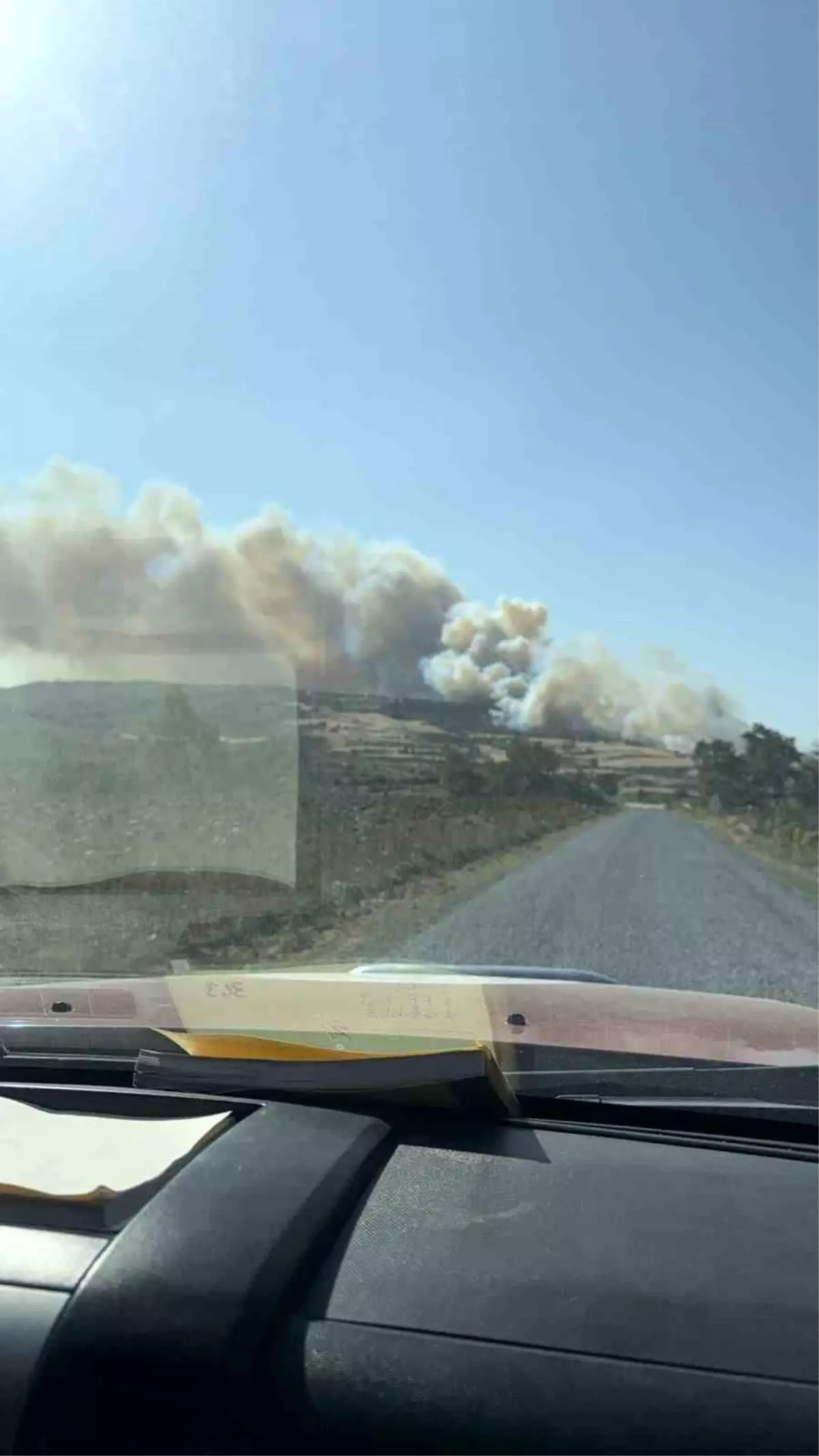Çanakkale'nin Gelibolu İlçesinde Orman Yangını Çıktı