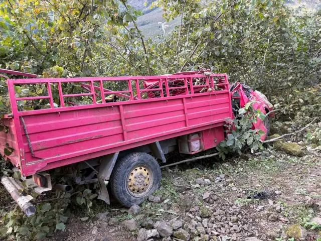 Giresun'da kamyonet fındık bahçesine yuvarlandı: 4 ölü, 1 yaralı