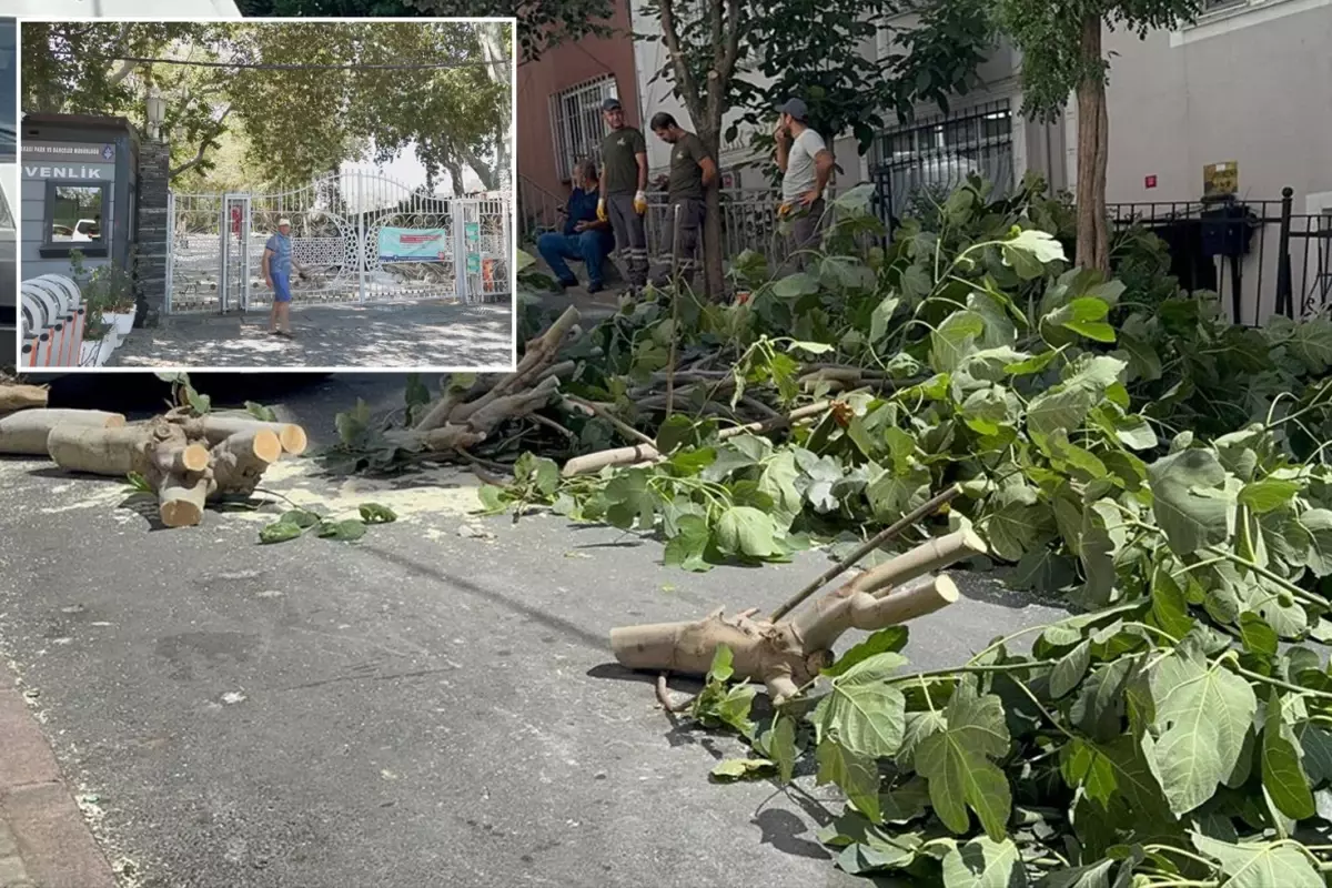İstanbul'da fırtına alarmı! Ağaçlar devrildi, Gülhane Parkı kapatıldı