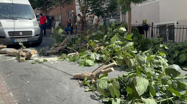 The storm hit Istanbul! Trees fell, Gülhane Park was closed