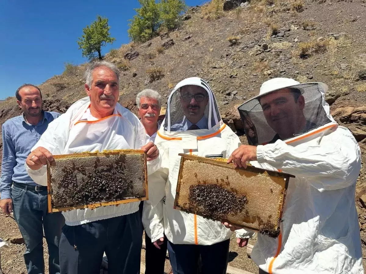 Adıyaman'da Organik Bal Hasadı Başladı