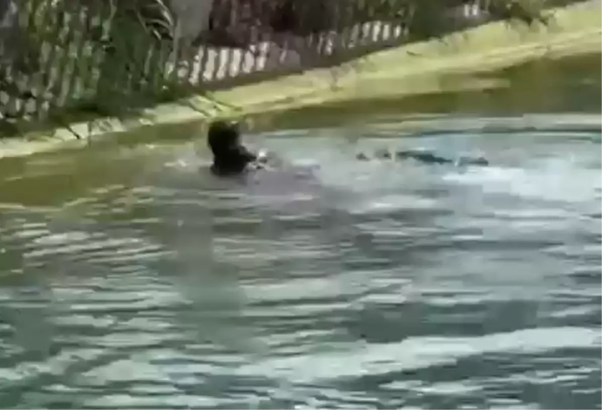 Adana'da Sulama Kanalında Erkek Cesedi Bulundu