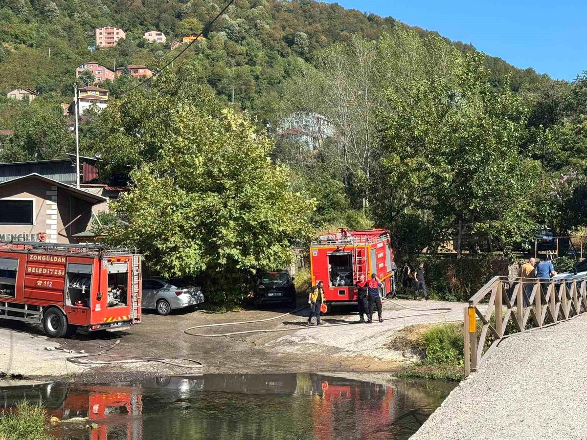 Zonguldak'ta Orman Yangını Kontrol Altına Alındı