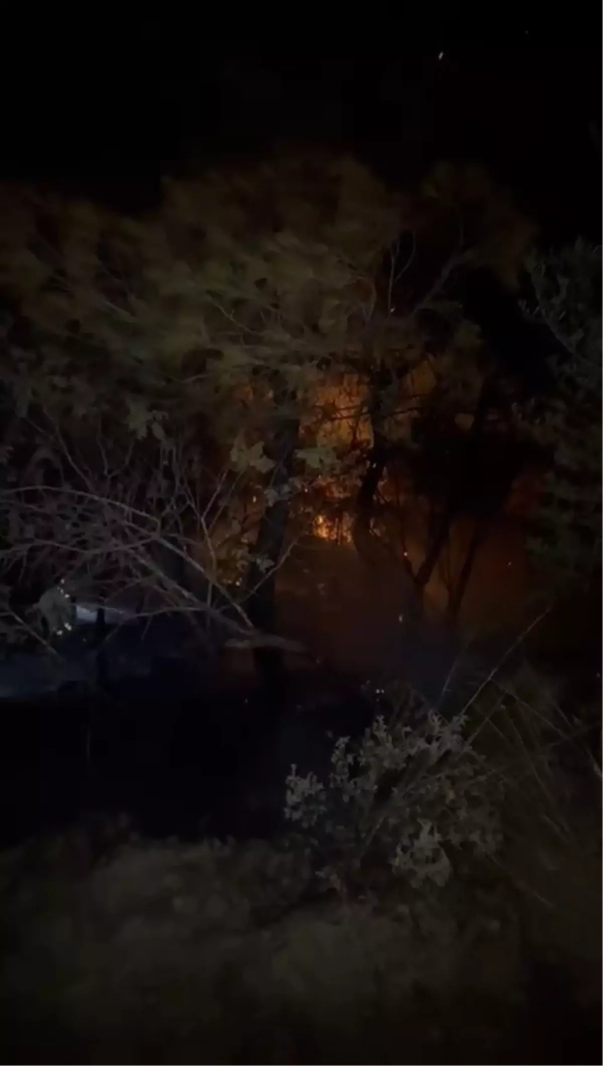 Adana'da Devam Eden Yangında Söndürme Çalışmaları Karadan Sürüyor