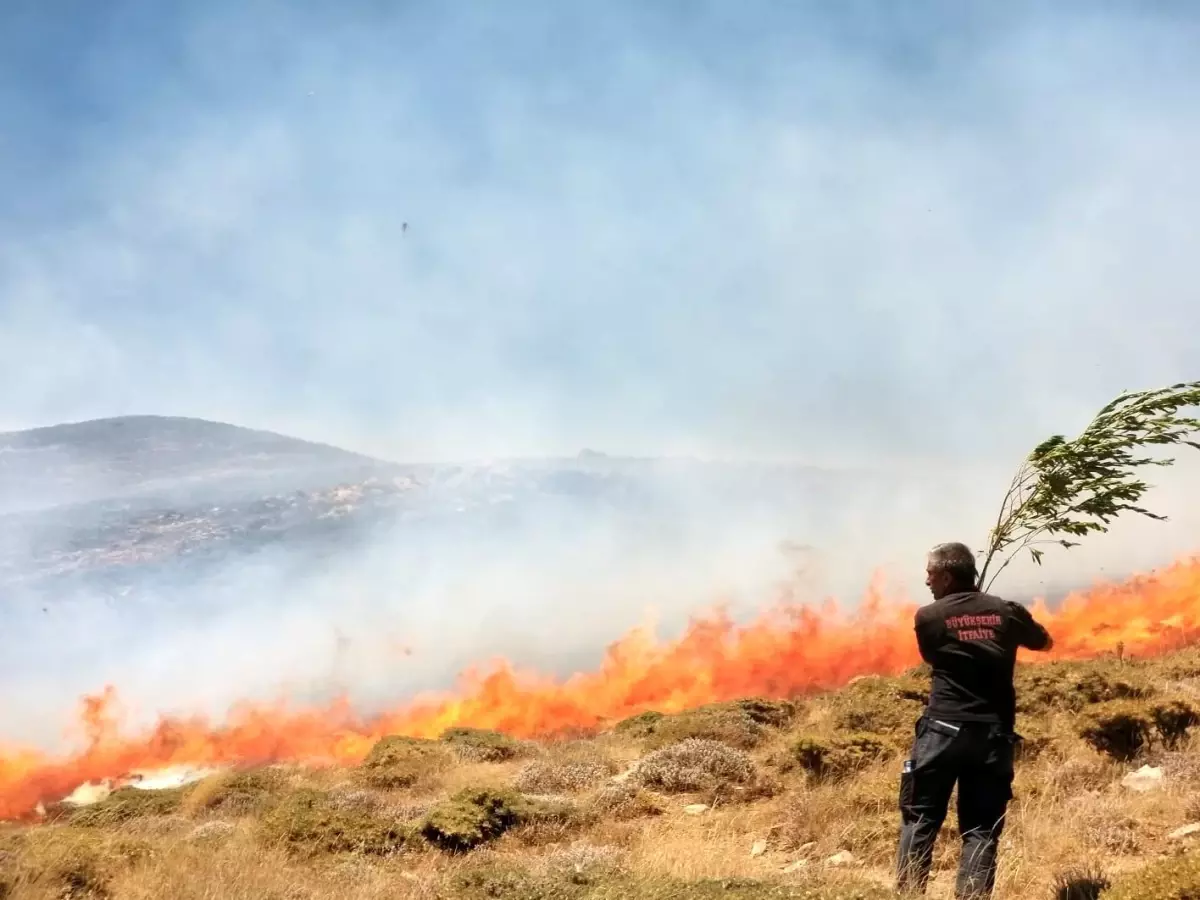 Van'da Dik Arazide Yangın Çıktı, İtfaiye ve Sakinler Söndürdü