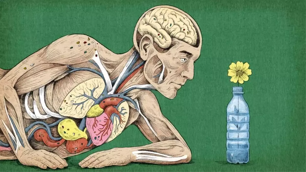 Bedenimizin içindeki mikroplastikler sağlığımızı nasıl etkiliyor?