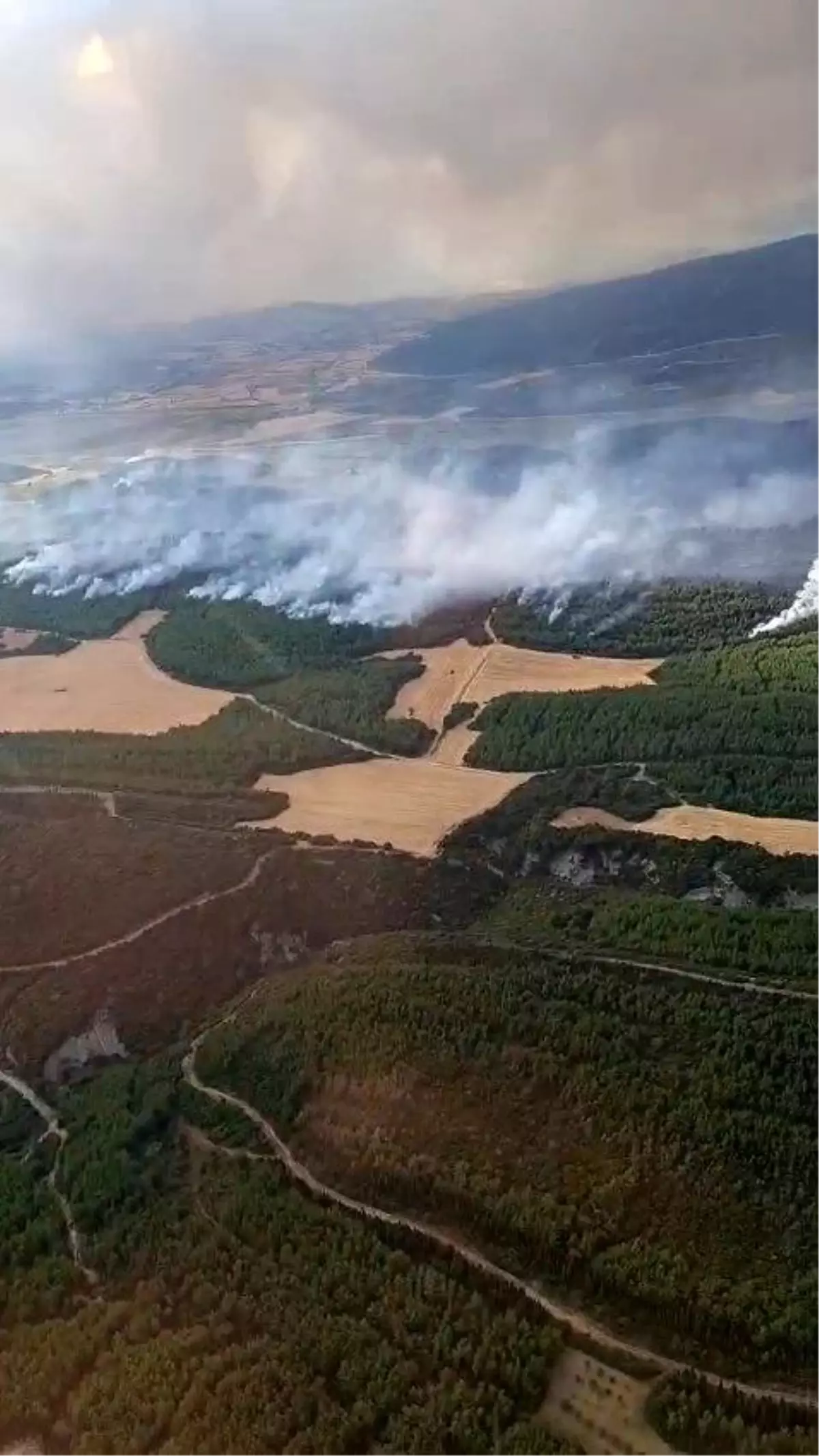 Çanakkale Gelibolu'da Orman Yangınına Yoğun Müdahale