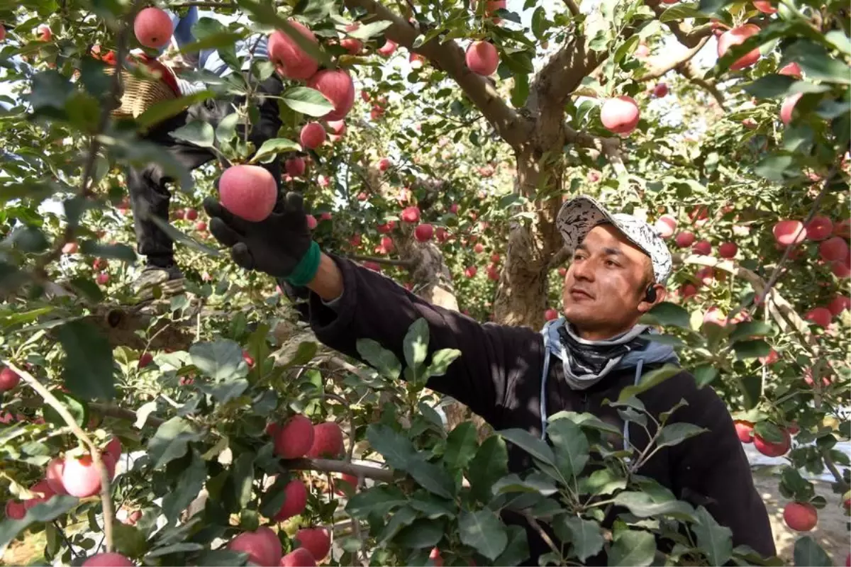 Çin'in Xinjiang Bölgesi ile Dubai Arasında Direkt Hava Kargo Rotası Başladı