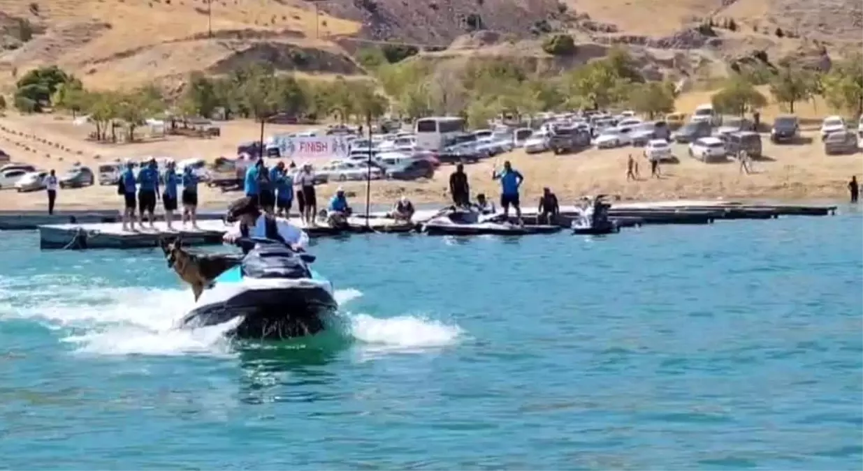 Keban Festivali'nde Jet Ski Turu Atan Köpek Göz Doldurdu