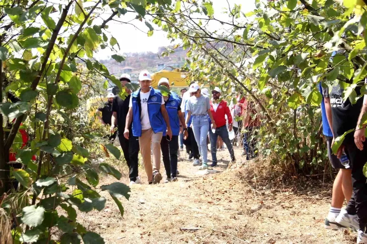 Gönüllü Gençler Fındık Hasadında Buluştu