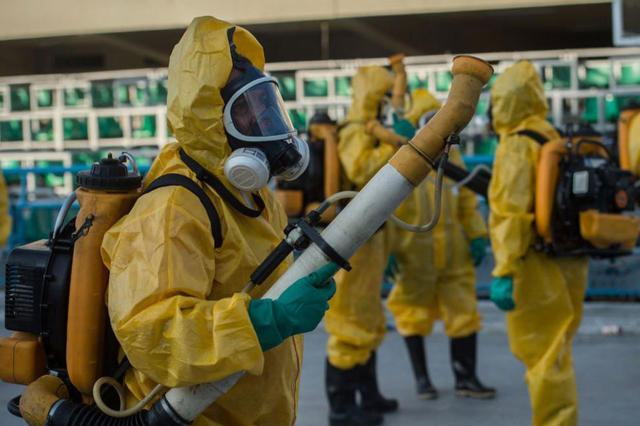hong kong chikungunya virusu ile mucadelede 18954518 8372 m