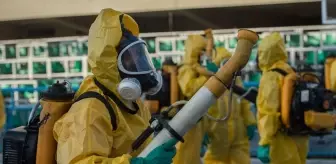 Chikungunya virüsü hızla yayılıyor! 16 ülkede 240 binden fazla vaka, 90 ölü