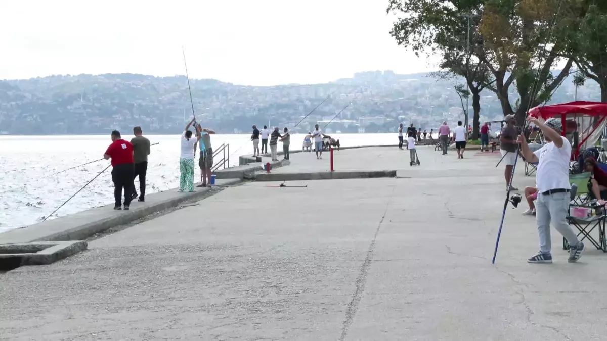 İstanbul'da Poyraz, Plajları Ve Sahilleri Canlandırdı