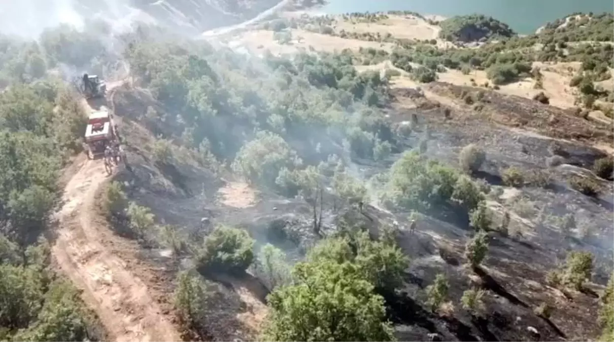 Elazığ'da Orman Yangını Kontrol Altına Alındı