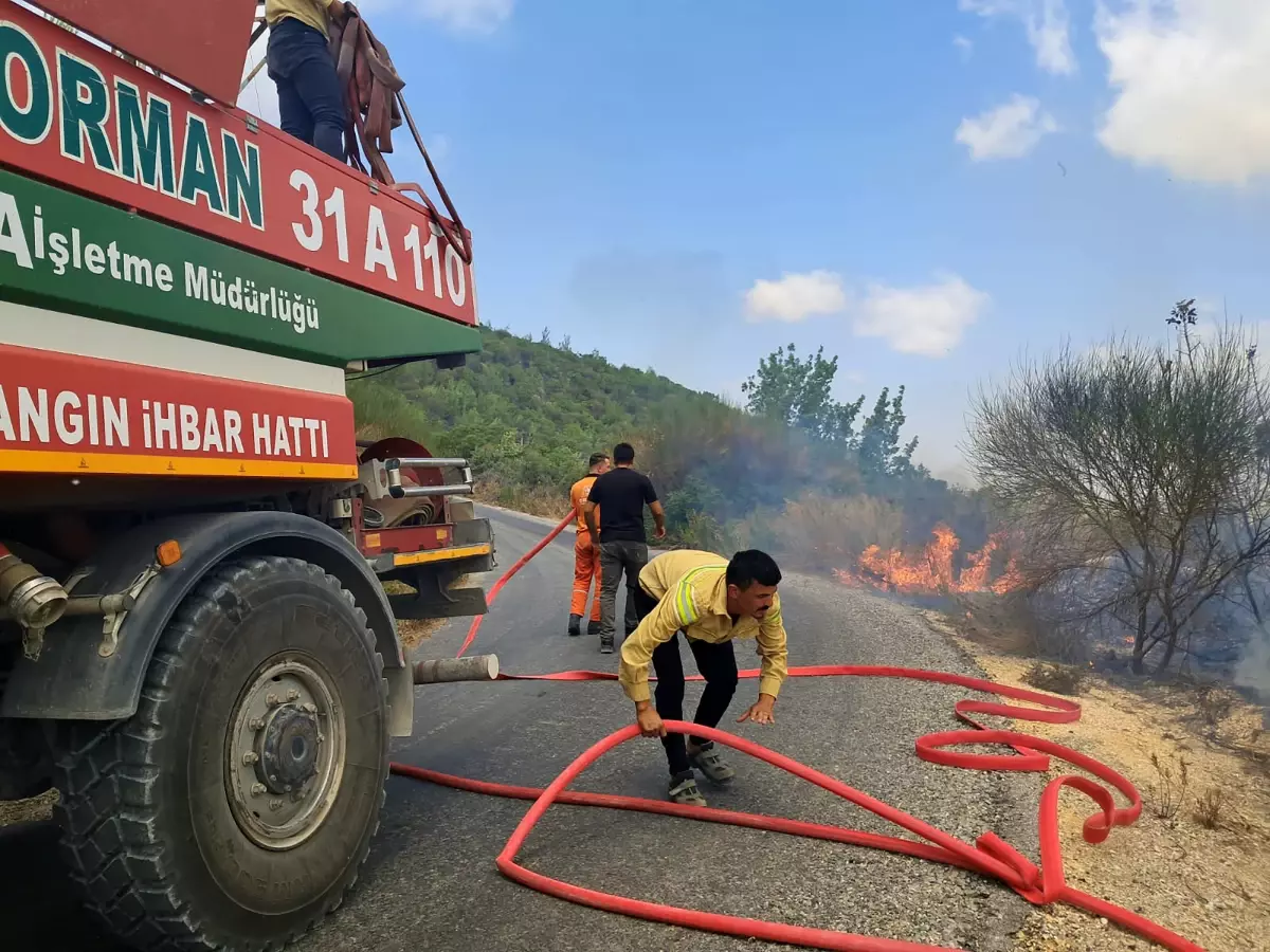 Hatay'da Sınır Yakınında Orman Yangını Kontrol Altına Alındı