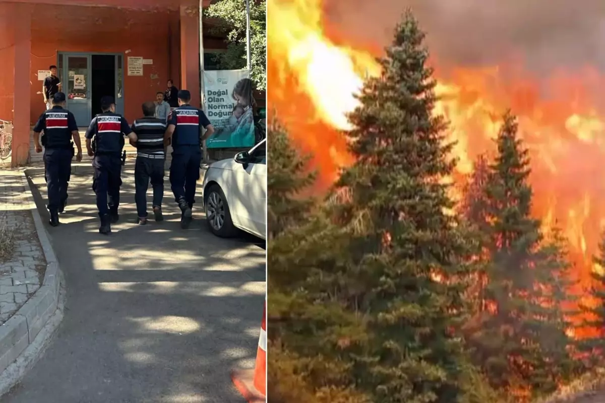 80 hektar ormanın yanmasına neden olan arıcı tutuklandı
