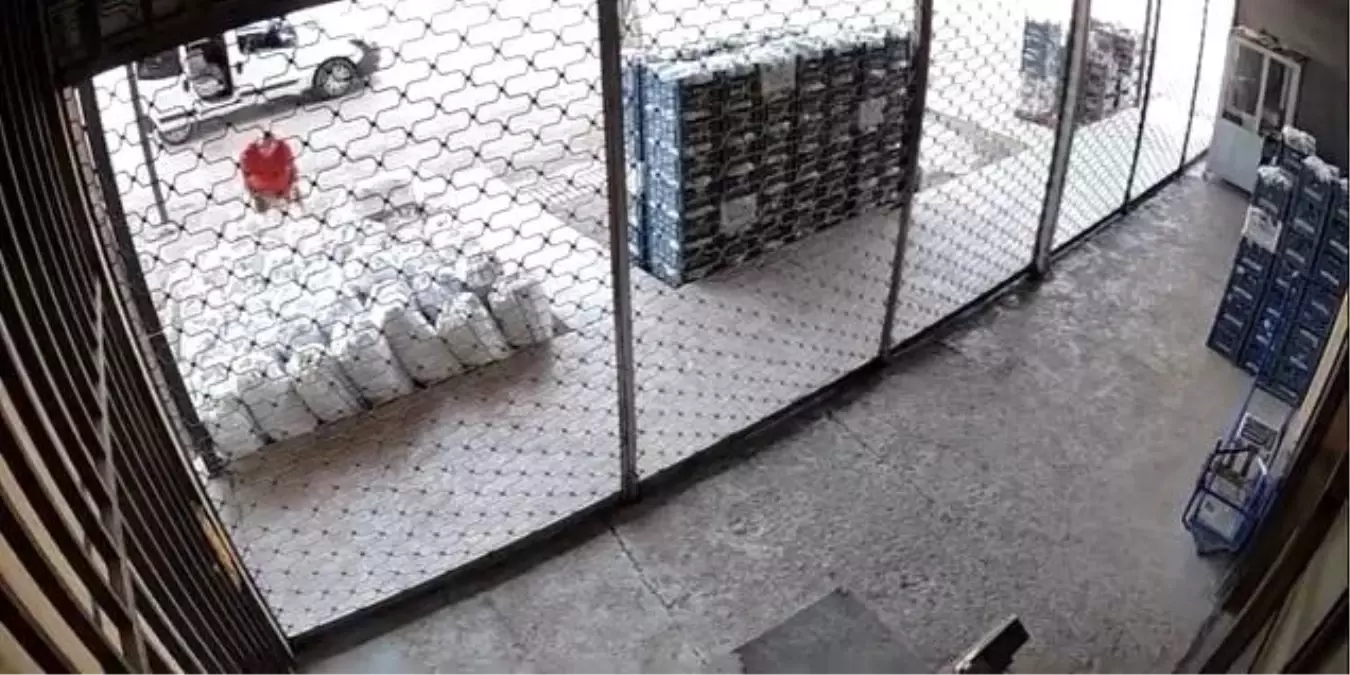 Elazığ'da Sebze Hırsızlığı Kameralara Yansıdı