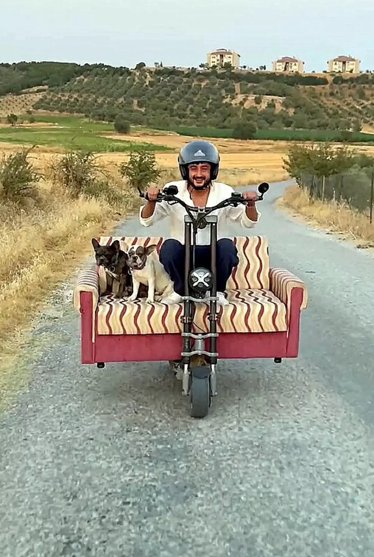 Koltuklu Skuteriyle Köpekleriyle Yolculuk Yapan Adam Ceza Aldı