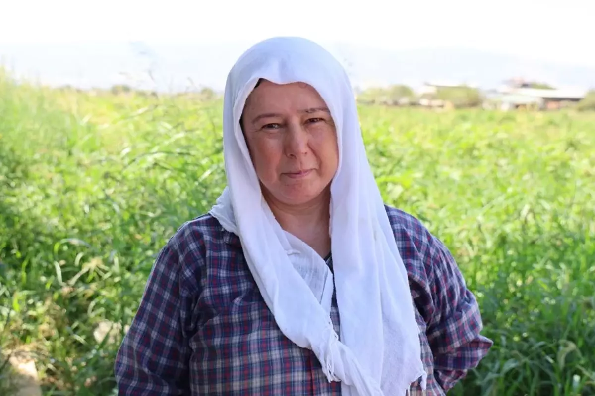 Çöl sıcağında ekmek mücadelesi: Öğlen 12'ye kadar çalışıp 1500 TL alıyorlar