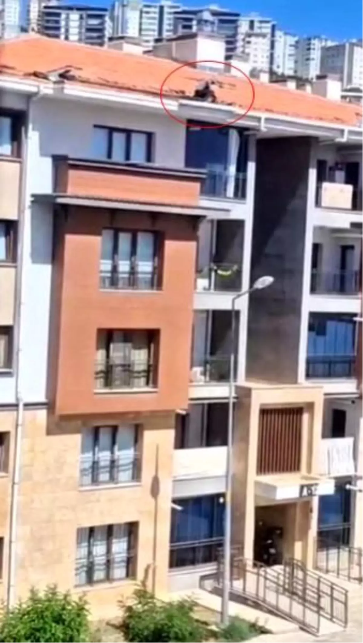 Elazığ'da Güvenlik Önlemi Almadan Çatıda Çalışan İşçi Tehlike Saçtı