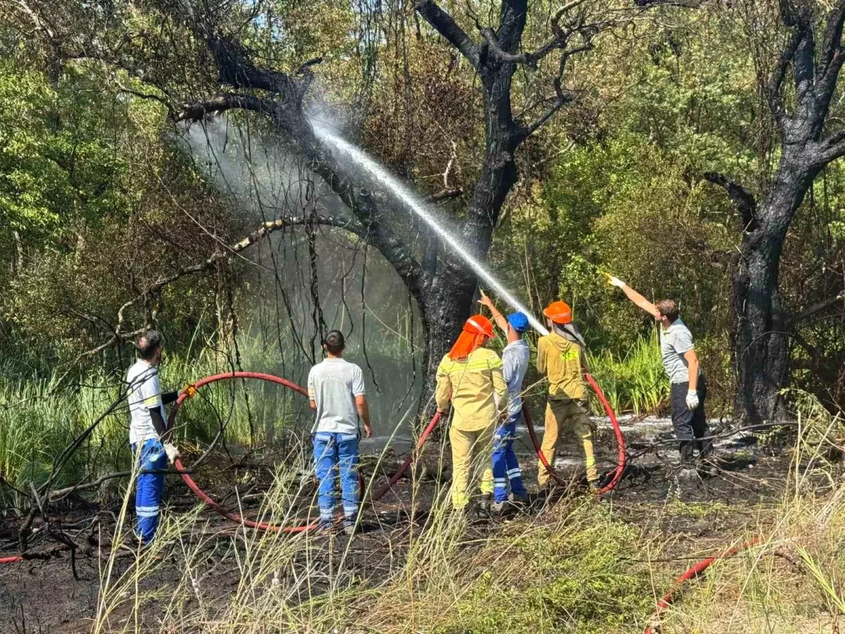 Fethiye'de Orman Yangını Kontrol Altına Alındı