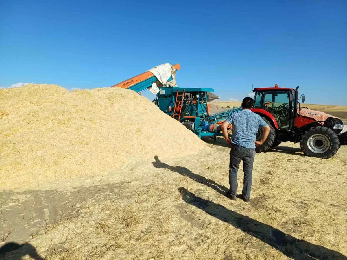 Muş'ta Saman Fiyatları Yükseldi, Çiftçiler Yüzde Gülüyor