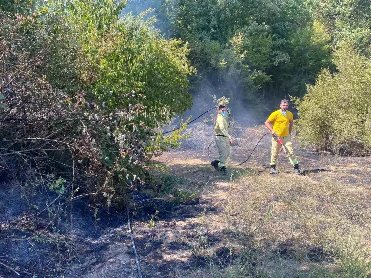 Kırklareli'nde Orman Yangını Kontrol Altına Alındı