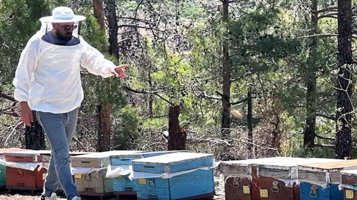 Muğla'da Arı Kovanı Destekleme Tespit Çalışmaları Başladı