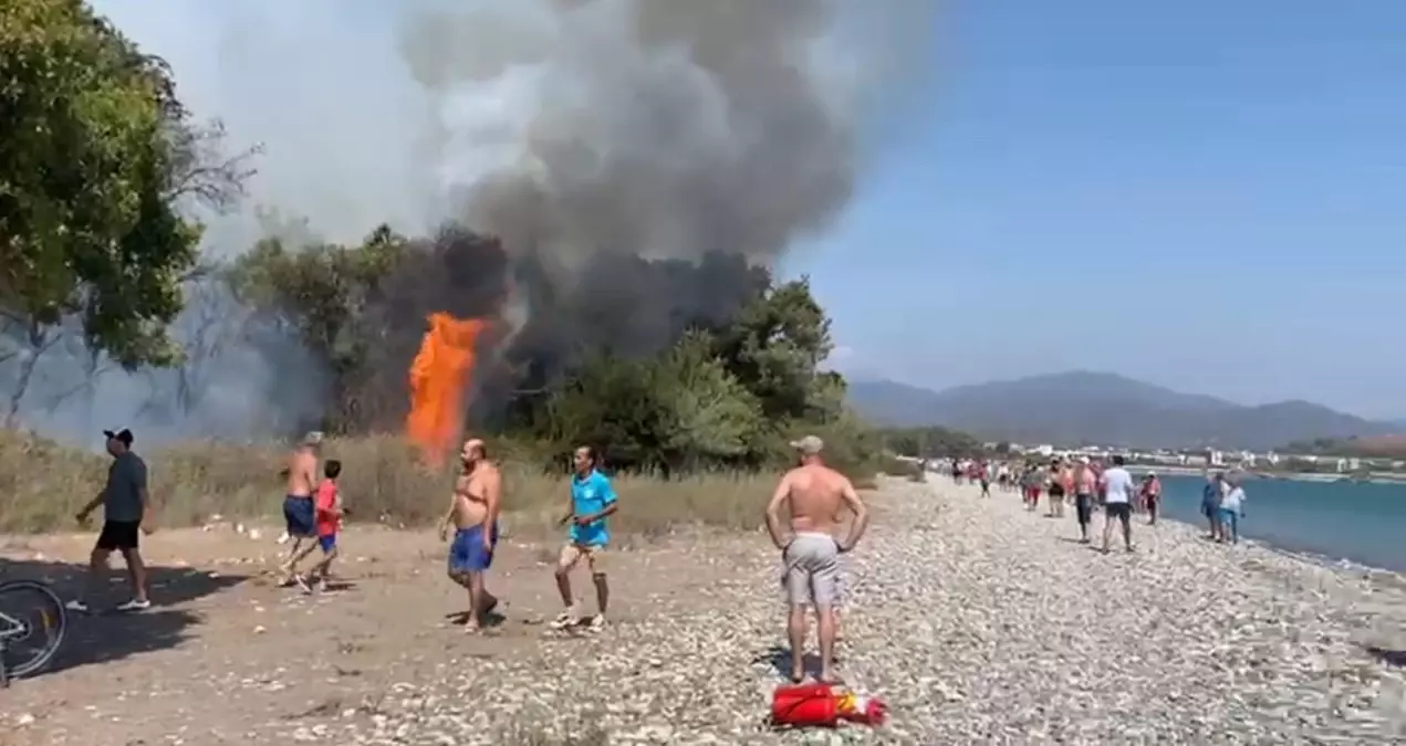 Fethiye'de Orman Yangını: Havadan ve Karadan Müdahale Başlatıldı