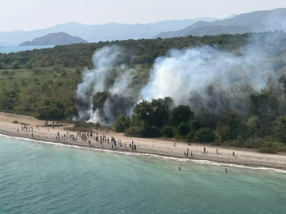 Fethiye'deki Orman Yangını 1,5 Saatte Kontrol Altına Alındı