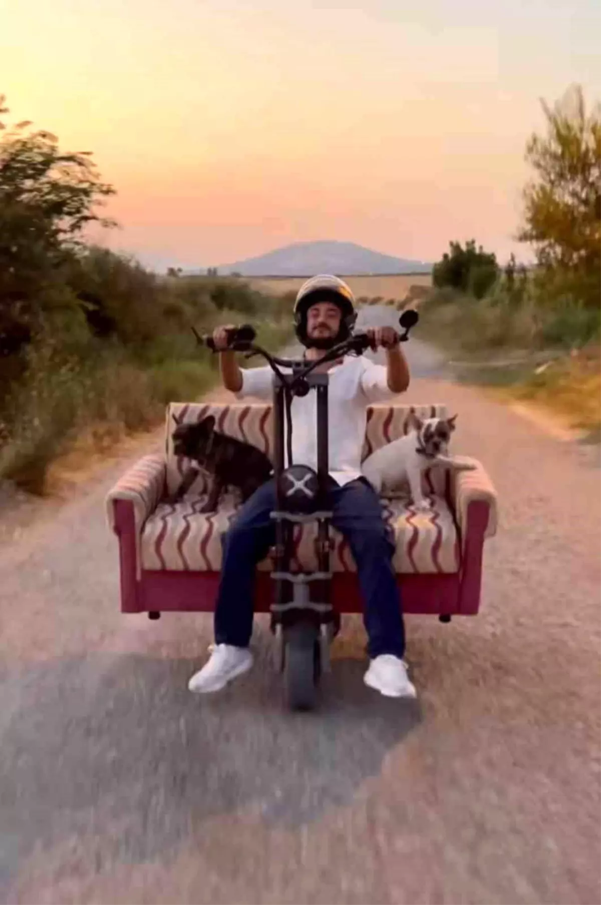 Muğla'da Elektrikli Scooter'a Koltuk Monte Eden Genç, Köpekleriyle Yolculuk Yaptı