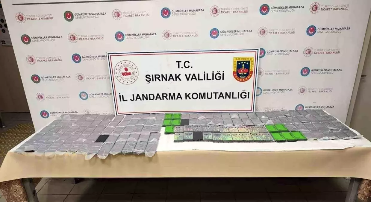 Şırnak'ta 8 Milyon TL Değerinde Kaçak Ürün Ele Geçirildi