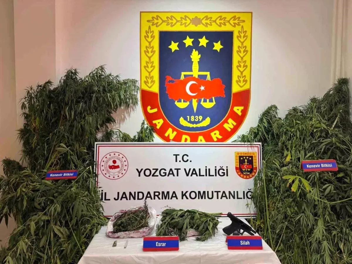 Yozgat'ta Uyuşturucu Operasyonunda Kenevir ve Tabanca Ele Geçirildi