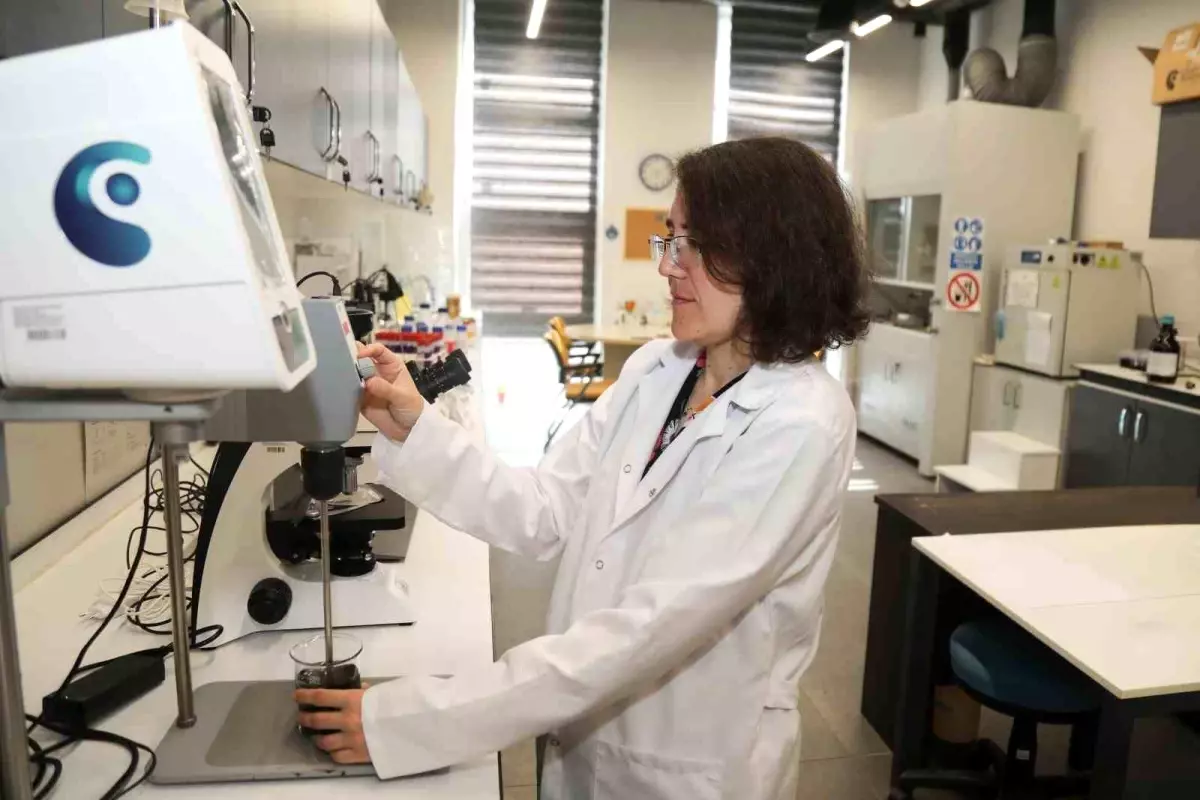 Bursa Teknik Üniversitesi'nden Çevre Dostu Isı Kalkanı Projesi