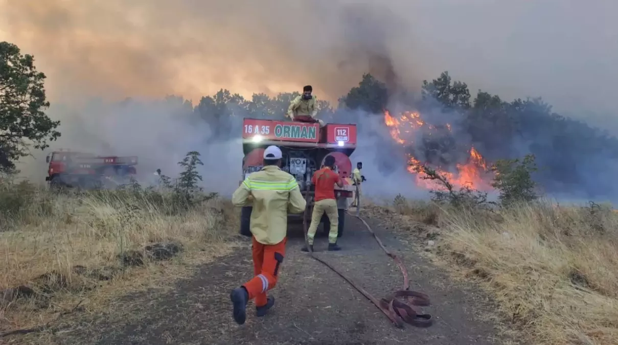 Bursa'da Orman Yangını: Ekipler Müdahaleye Devam Ediyor