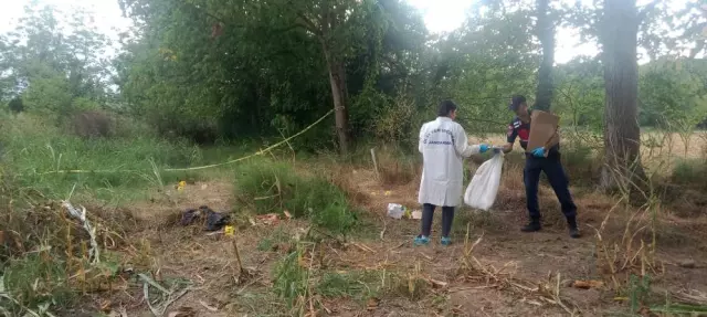 duzce de misir tarlasinda insan kafatasi ve 18960413 2783 m