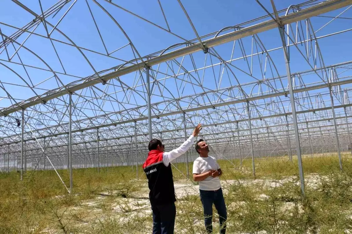 Erzincan'da Jeotermal Sera Yatırımları Devam Ediyor