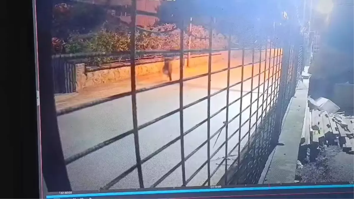 Taksici Sefer Kaya, Silahlı Saldırı Sonucu Hayatını Kaybetti