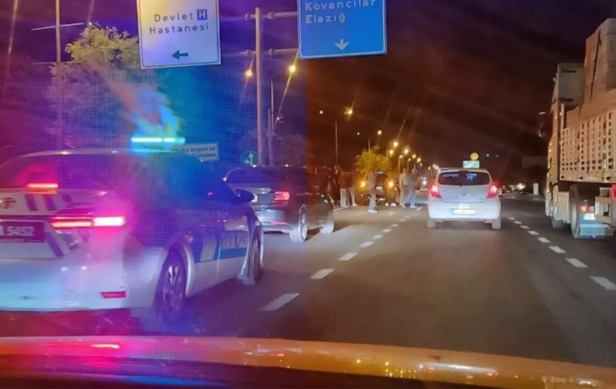 Bingöl'de Otomobilin Çarpması Sonucu 65 Yaşındaki Kadın Hayatını Kaybetti