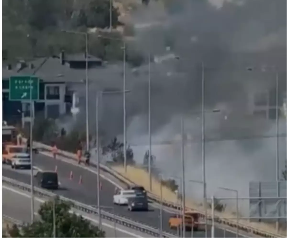 Bolu'da Yol Kenarında Yangın Kontrol Altına Alındı
